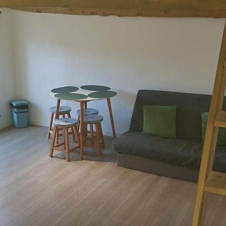 Appartement Hyper-Centre 2 Lits Climatiseur à Castres  Extérieur photo